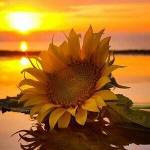 Meet your Posher, Jen